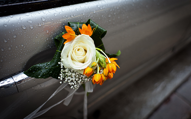 Weddings & Celebrations